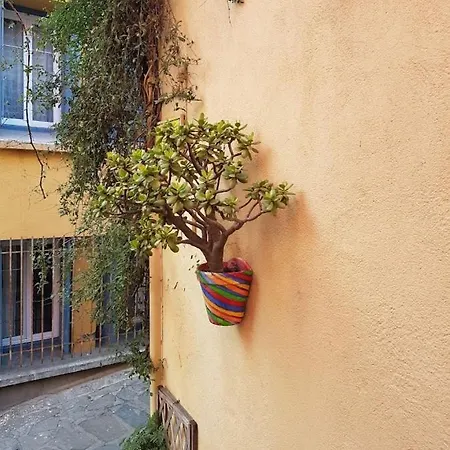 Rocade De Appt T4 Avec Grande Terrasse Et Garage * Collioure