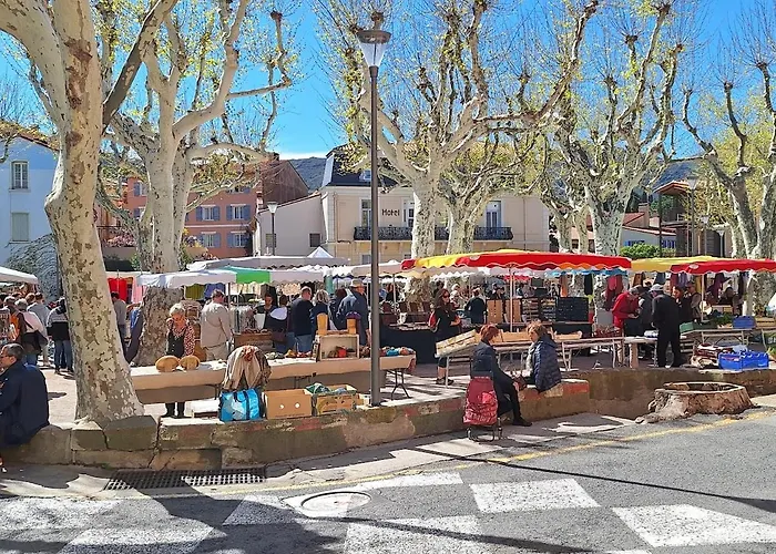 Rocade De Appt T4 Avec Grande Terrasse Et Garage Appartement Collioure